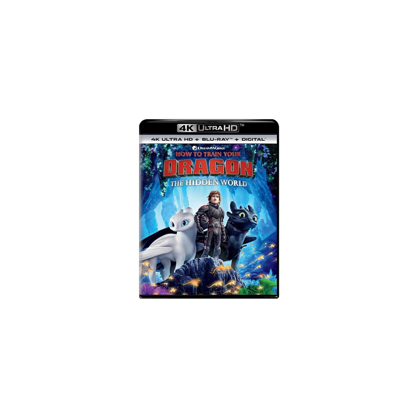 How to Train Your Dragon: The Hidden World