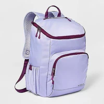 Everday 17" Backpack Lavendar - Embark