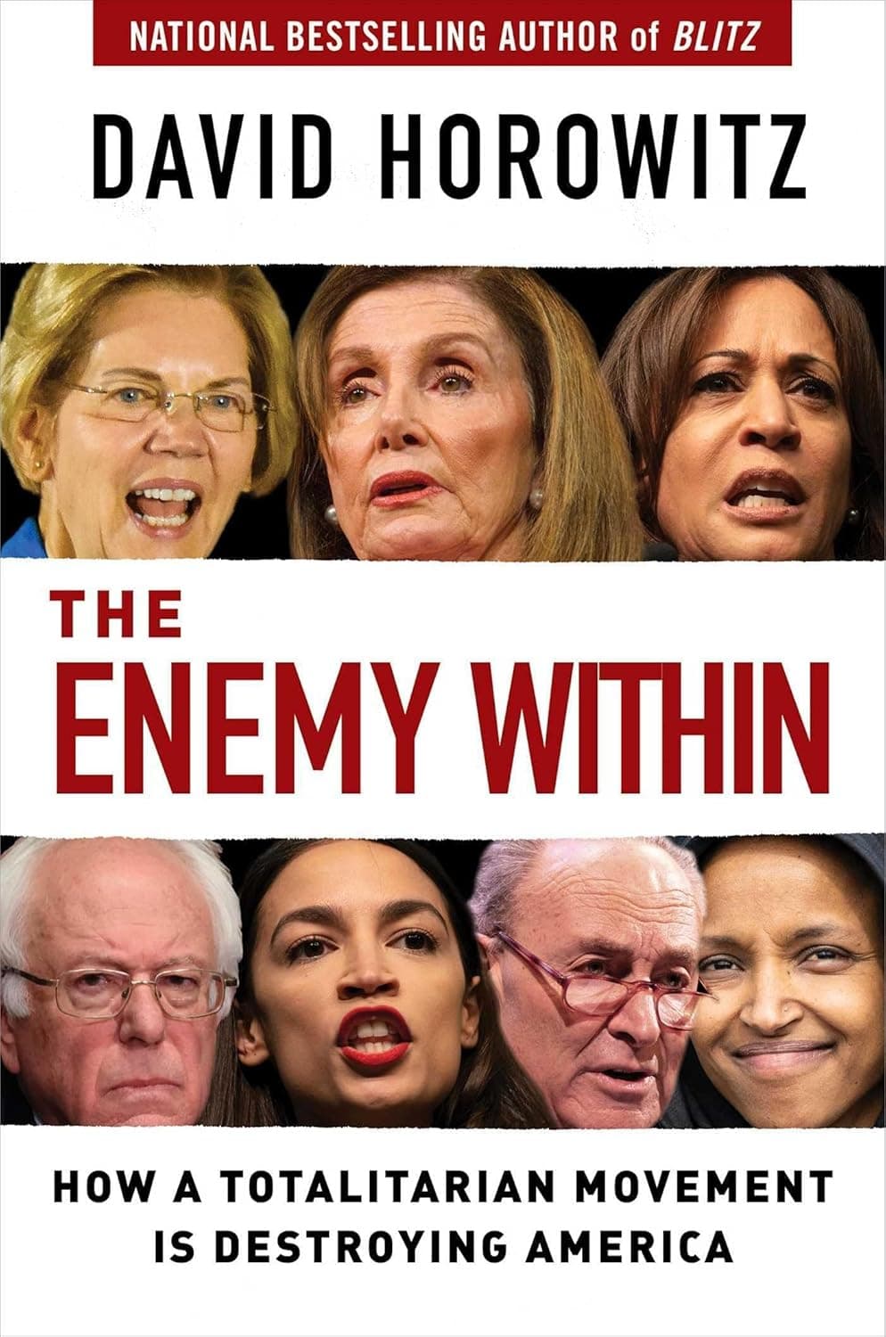 The Enemy Within: How a Totalitarian Movement is Destroying America by David Horowitz