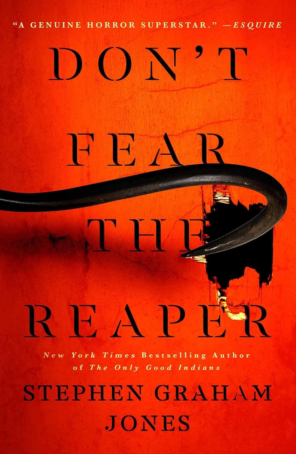 Don't Fear the Reaper (2) (The Indian Lake Trilogy) by Stephen Graham Jones